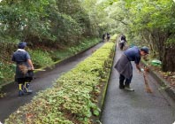 農作業のお手伝い