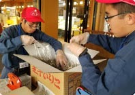 農作業のお手伝い