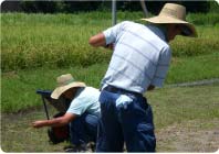 農作業のお手伝い